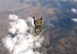 Military Free Fall Course – nová spôsobilosť pre “špeciálov”