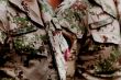 Radičová privítala vojakov z operácií ISAF SOF a ALTHEA IV.